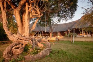 Victoria Falls River Lodge, Victoria Falls | Wilderness in the Heart of Africa | Ultimate Travel Company