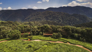 One&only Nyungwe House, Nyungwe Forest National Park | Rwanda | overview | Ultimate Travel Company