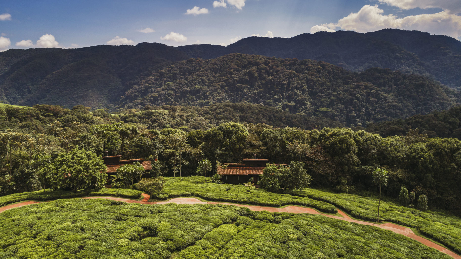 One&only Nyungwe House, Nyungwe Forest National Park | Rwanda | overview | Ultimate Travel Company