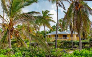 Nisbet Plantation Beach Club | Elevating Relaxation to an Art Form | Ultimate Travel Company