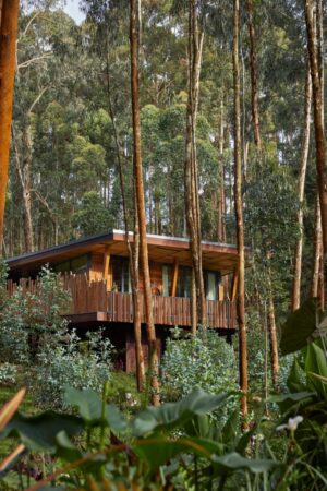 One&Only Gorilla’s Nest, Volcanoes National Park | Ultimate Travel Co