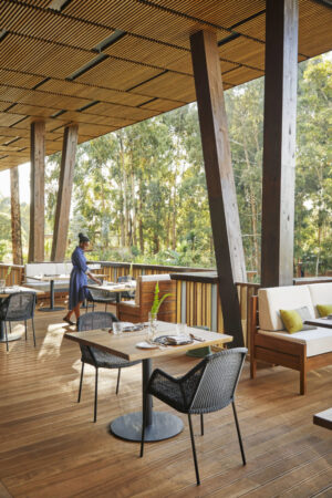 One&Only Gorilla’s Nest, Volcanoes National Park | Ultimate Travel Co