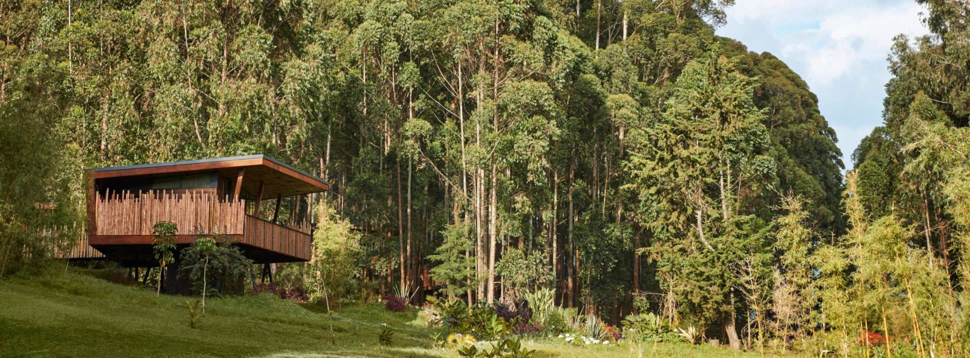 One&Only Gorilla’s Nest, Volcanoes National Park | Ultimate Travel Co