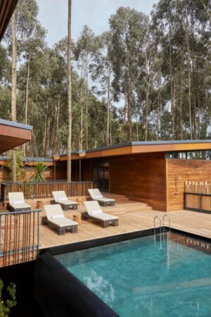 One&Only Gorilla’s Nest, Volcanoes National Park | Ultimate Travel Co