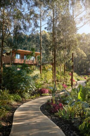 One&Only Gorilla’s Nest, Volcanoes National Park | Ultimate Travel Co