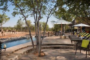 Ongava Tented Camp, Etosha National Park | Namibia | pond | The Ultimate Travel Company