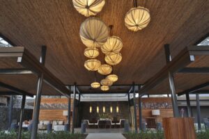 El Mangroove, Papagayo | The Ultimate Travel Company