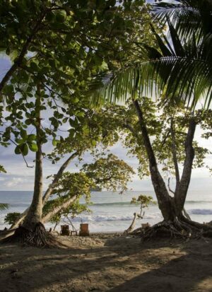 Arenas Del Mar, Quepos | The Ultimate Travel Company