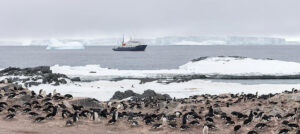 Polar Pioneer | Ultimate Travel Co