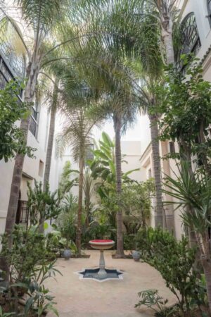 Riad Fes, Fès | Morocco | garden | The Ultimate Travel Company