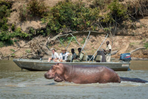 Nsefu, South Luangwa National Park | The Ultimate Travel Company