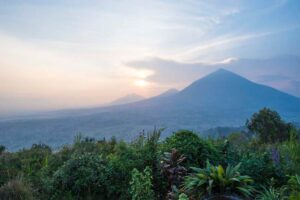 Virunga Safari Lodge, Rwanda | Rwanda | garden | Ultimate Travel Company