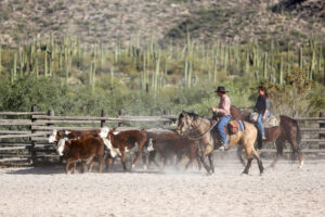 Cowboys at Tanque Verde Ranch, Arizona | Ranch Holidays in the USA | The Ultimate Travel Company