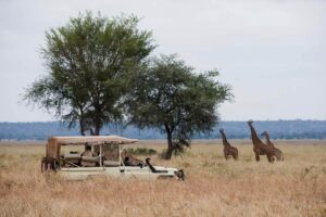 Swala Safari Camp, Tarangire | Wilderness Haven | Ultimate Travel Company