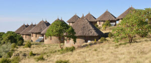 Simien Lodge | Simien Mountains | Ultimate Travel Company