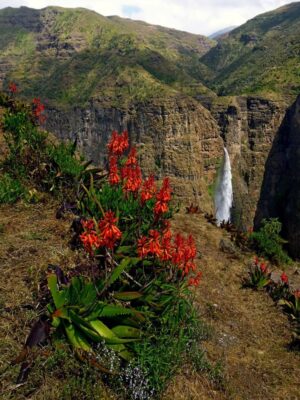 Simien Lodge | Simien Mountains | Ultimate Travel Company