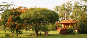 Sosian, Laikipi | Ultimate Travel Company