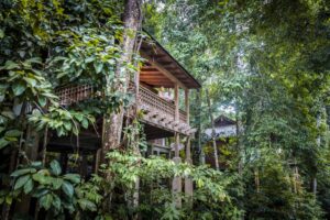 The Datai Hotel, Langkawi Island | Malaysia | terrace | The Ultimate Travel Company