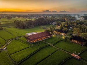 Tanah Gajah, Ubud, Bali 1