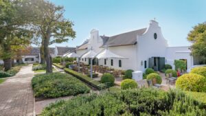 Steenberg Farm | Cape Town | Ultimate Travel Company