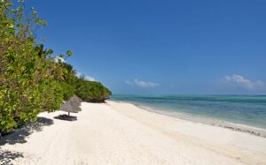 Shooting Star Lodge, Kiwengwa | Zanzibar | beach view | The Ultimate Travel Company