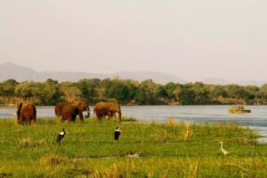Chiawa Camp, Lower Zambezi National Park | Zambia | boat | The Ultimate Travel Company
