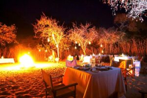 Tarangire Treetops, Tanzania | Safari Adventures | Ultimate Travel Company