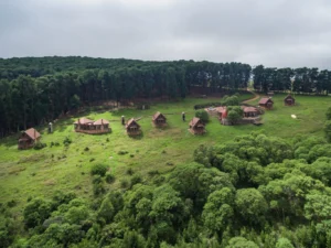 Chelinda Lodge, Nyika National Park | Ultimate Travel Company