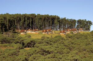 Chelinda Lodge, Nyika National Park | Ultimate Travel Company