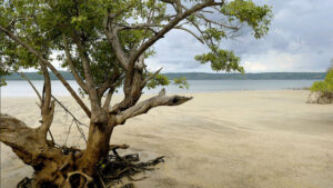 Andaz Peninsula Papagayo Resort, Guanacaste | The Ultimate Travel Company