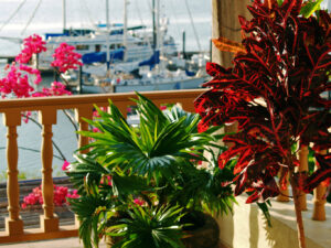 Marina Puesta Del Sol, Nicaragua | The Ultimate Travel Company