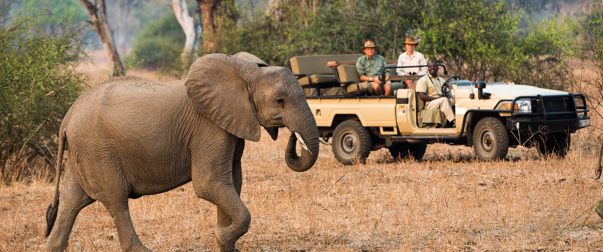 Nsefu, South Luangwa National Park | The Ultimate Travel Company