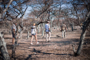 Onguma Bush Camp, Etosha National Park | Namibia | tourist hunting | The Ultimate Travel Company