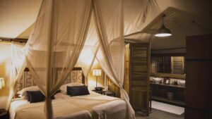 Ruckomechi Camp, Mana Pools National Park | Riverside Safari Haven | Ultimate Travel Company