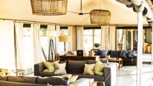 Ruckomechi Camp, Mana Pools National Park | Riverside Safari Haven | Ultimate Travel Company