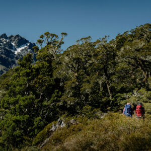 Routeburn Track | Walking