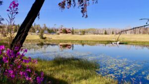 Siwash Lake Wilderness Resort | Cariboo | The Ultimate Travel Company