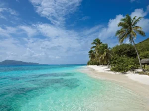 A Private Island in Petit St Vincent in the Caribbean | Luxury Petit St Vincent Holidays | The Ultimate Travel Company
