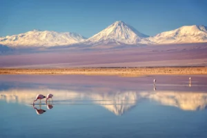Cumbres San Pedro De Atacama, Atacama Desert | Flaminggos | The Ultimate Travel Company