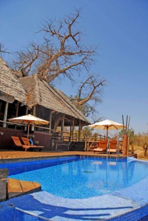 Tarangire Treetops, Tanzania | Safari Adventures | Ultimate Travel Company