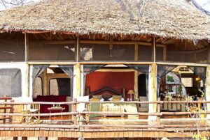 Tarangire Treetops, Tanzania | Safari Adventures | Ultimate Travel Company