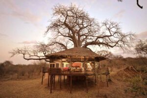 Tarangire Treetops, Tanzania | Safari Adventures | Ultimate Travel Company