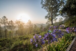 Views from Goatfell Bungalow in the Hill Country | Sri Lanka Holidays | The Ultimate Travel Company