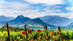 The Ultimate Travel Company | Franschhoek