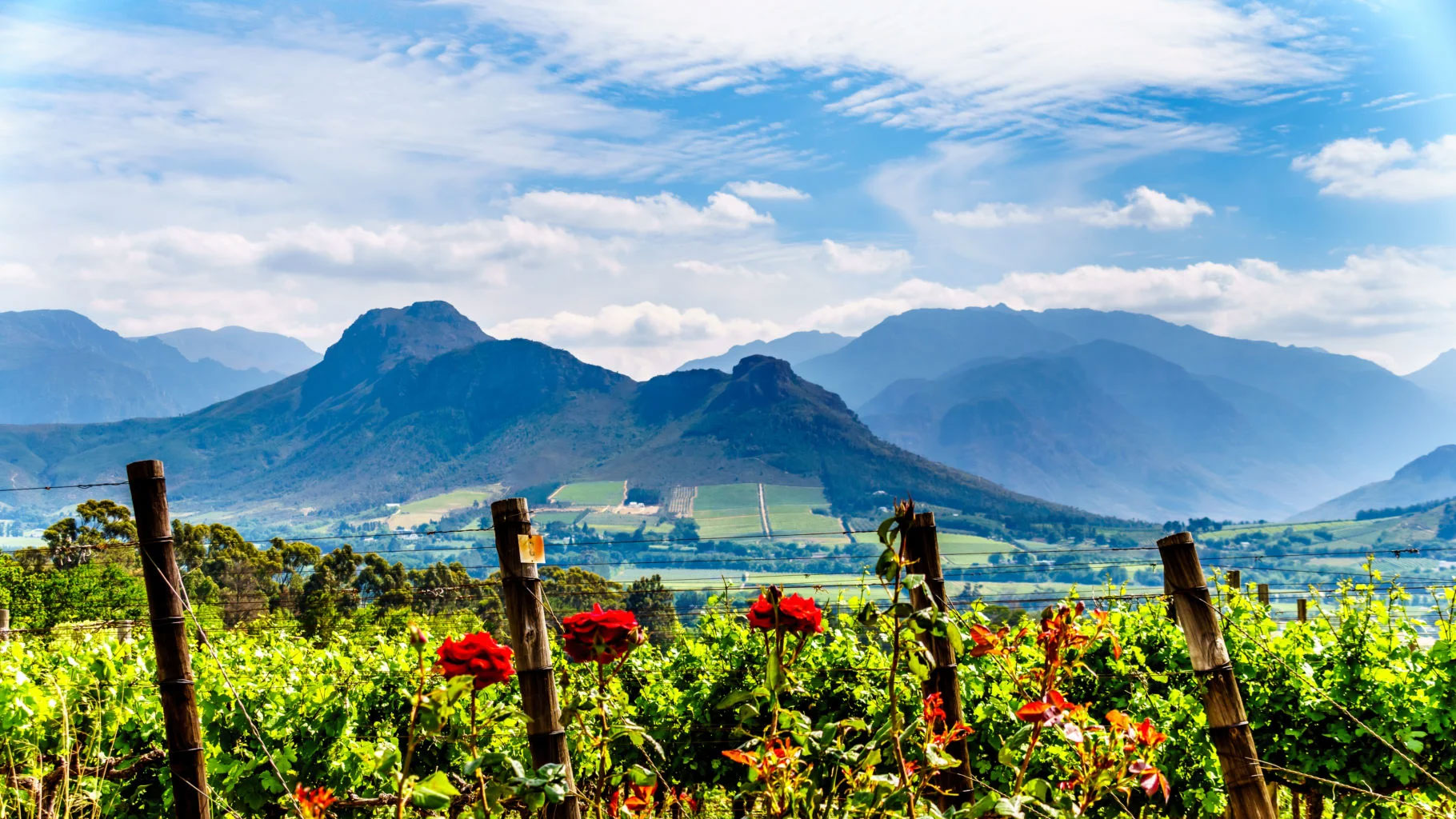 The Ultimate Travel Company | Franschhoek