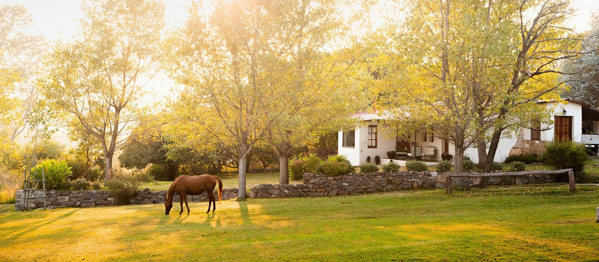 The Ultimate Travel Company | LOS POTREROS