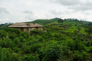 Kibale Lodge | Uganda | The Ultimate Travel Company