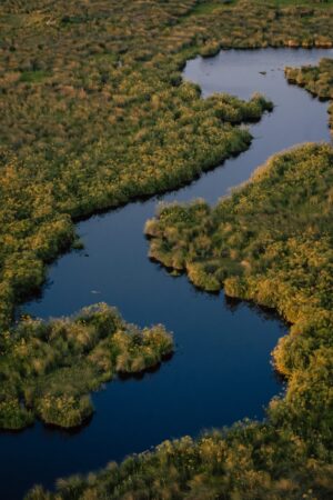 Duba Plains Camp | Botswana | The Ultimate Travel Company