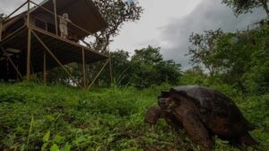 Galapagos Safari Camp | Galapagos Islands | The Ultimate Travel Company