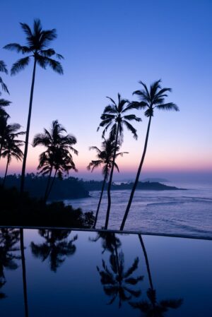 Cape Weligama View | Sri Lanka | The Ultimate Travel Company